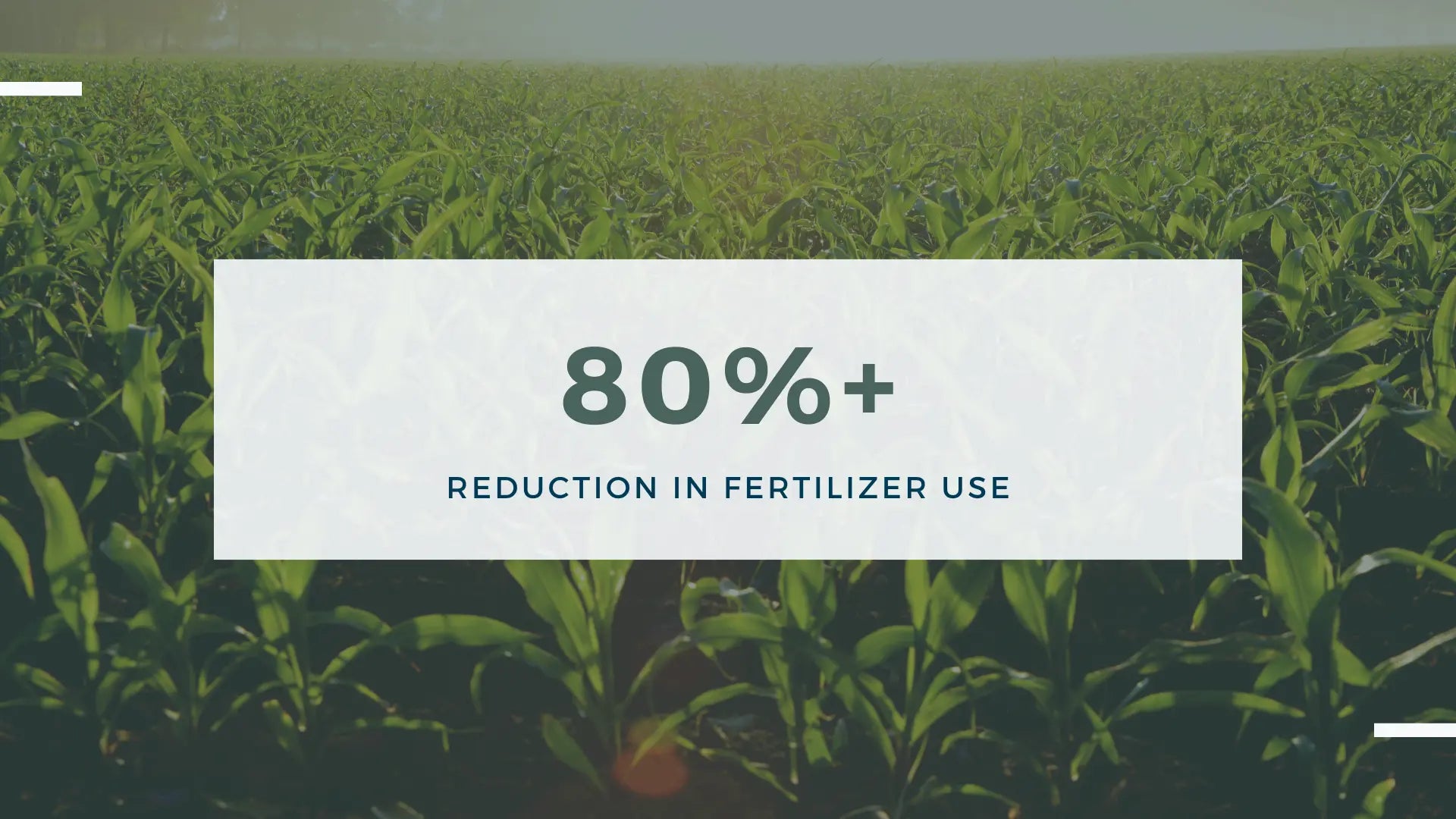80% reduction in soil fertilizer when ArableONE™ is used