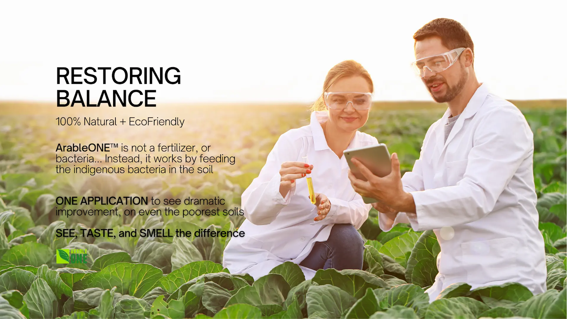 Scientist restoring the soil with ArableONE™