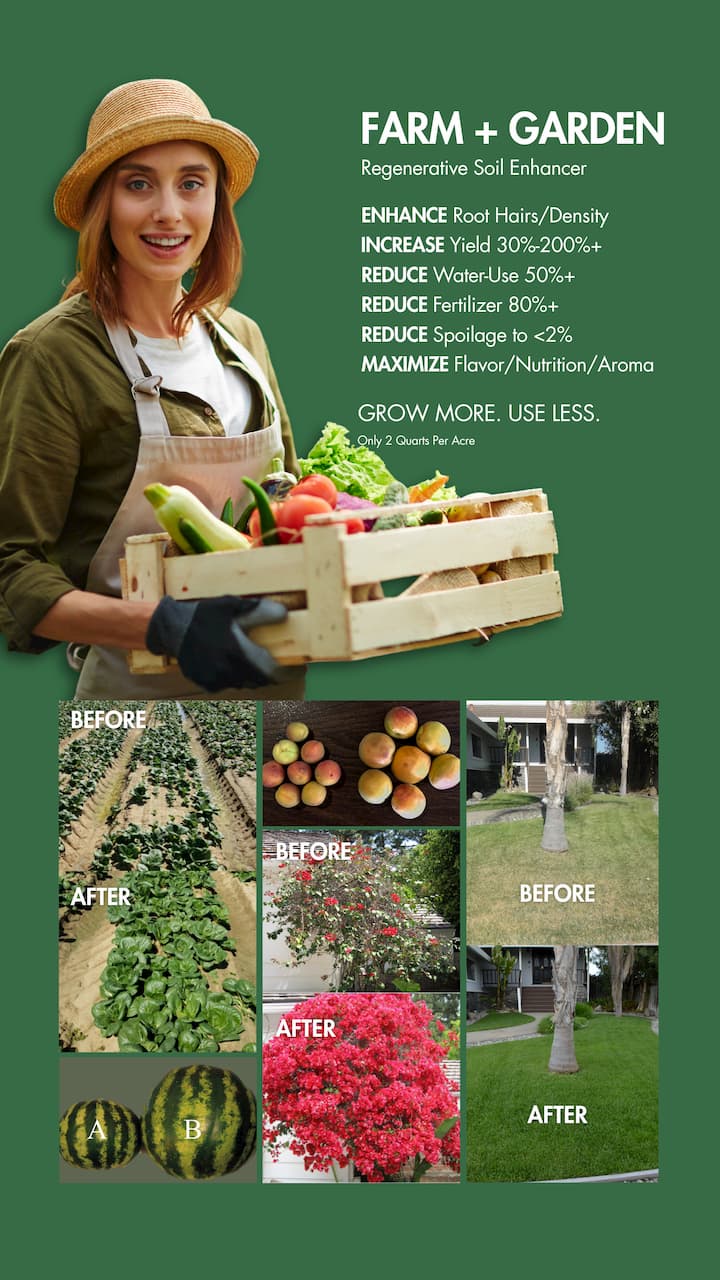 Soil Enhancer All Natural Before and After Comparison