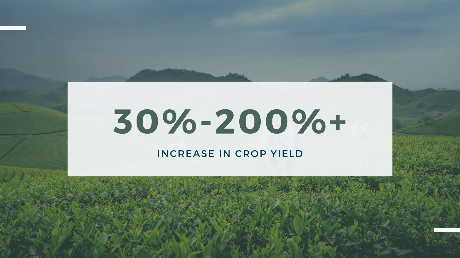 Increase in crop yields by 30%-200% with ArableONE™